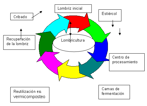 Las vías de la penetración de los parásitos al organismo del amo
